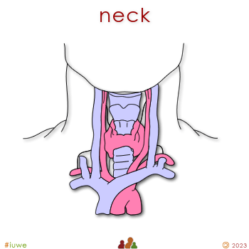w00351_01 neck