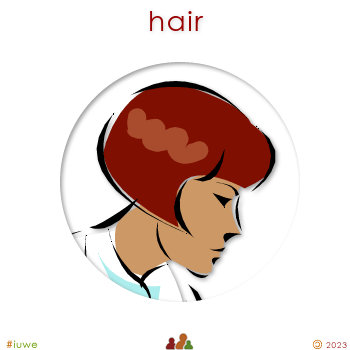 w00589_01 hair