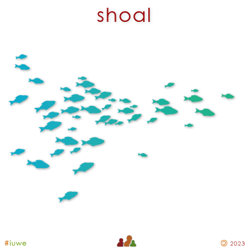 z32345_01 shoal