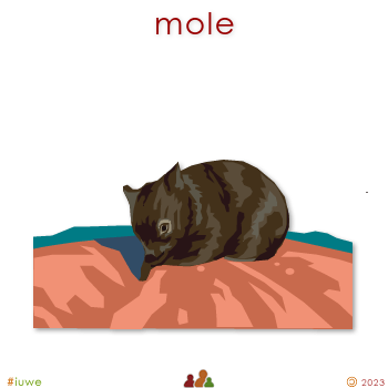 w00415_01 mole