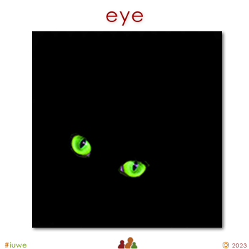 w00364_01 eye