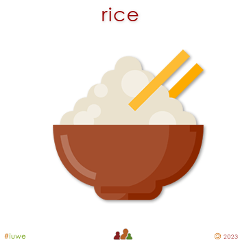 w31199_01 rice