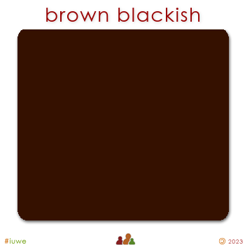 w01569_01 brown blackish