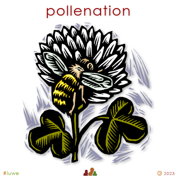 w03070_01 pollenation