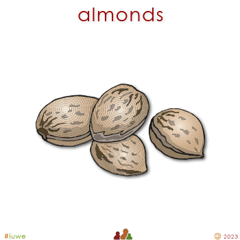 w01753_01 almonds