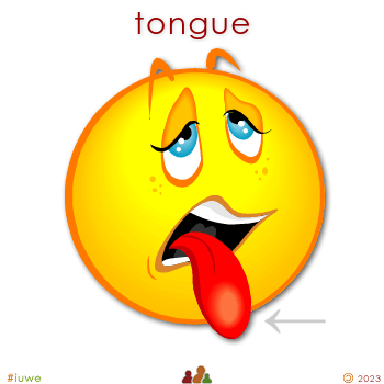 w01503_01 tongue