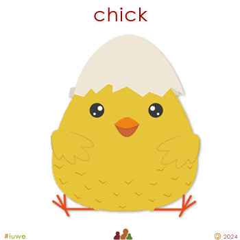 w00481_01 chick