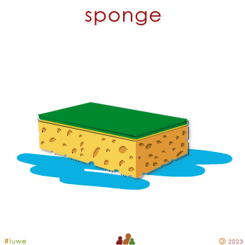 w01679_01 sponge