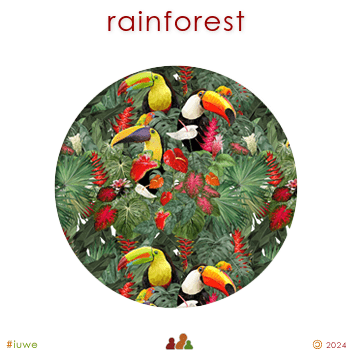 z20136_01 rainforest