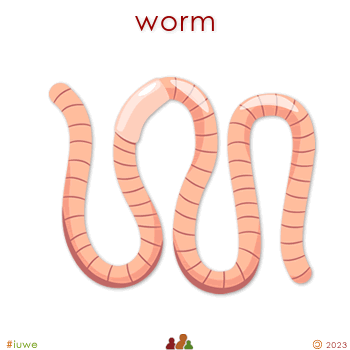 w03237_01 worm