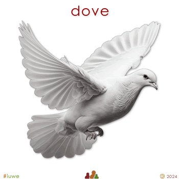 w30694_01 dove