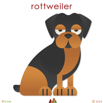 w17871_01 rottweiler