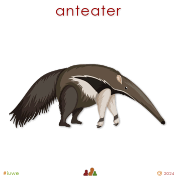 w00345_01 anteater