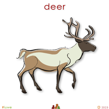 w00547_01 deer