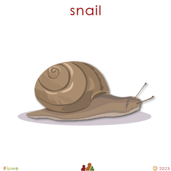 w00414_02 snail