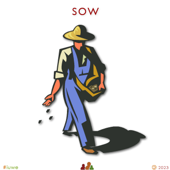 w01404_01 sow