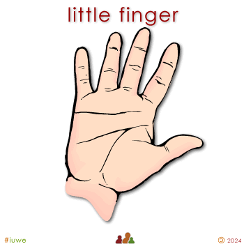 w01525_01 little finger