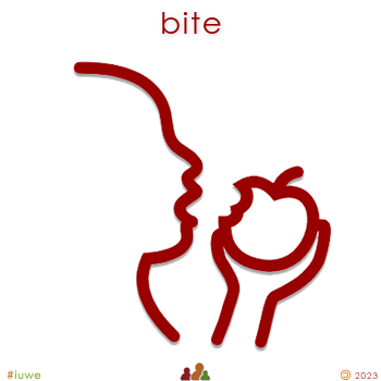 w30554_01 bite