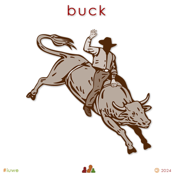 w05058_01 buck