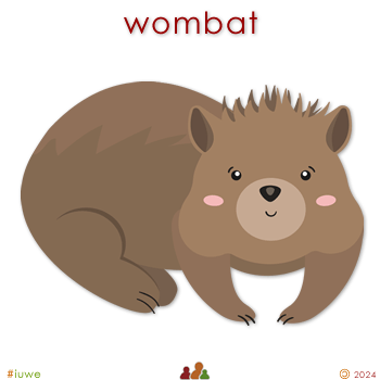 w33974_01 wombat