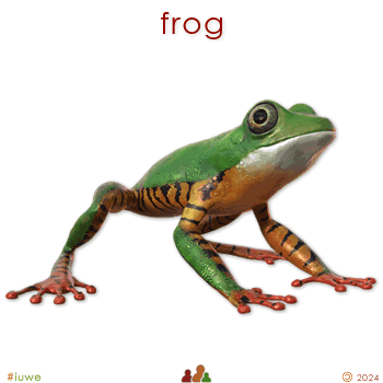 w00488_01 frog