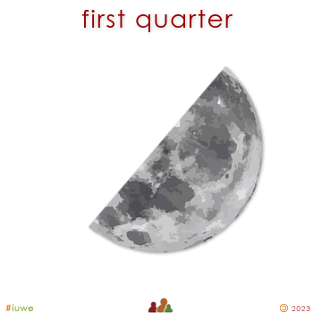 w03029_01 first quarter