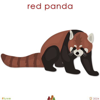 w33692_01 red panda