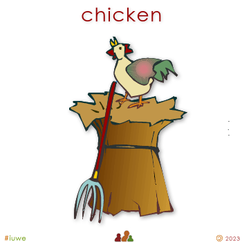 w00323_01 chicken
