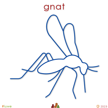 w30812_01 gnat