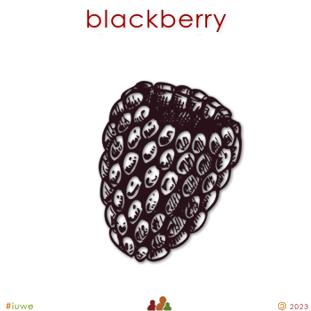 w03169_01 blackberry