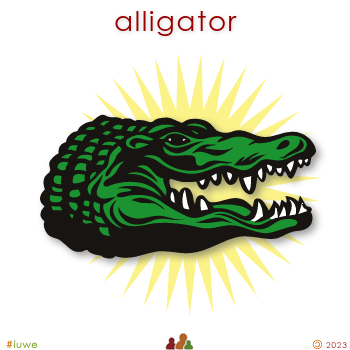 w00318_01 alligator
