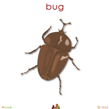 w03069_01 bug