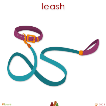z32027_01 leash