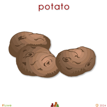 w01195_01 potato