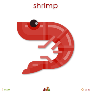 w33815_01 shrimp