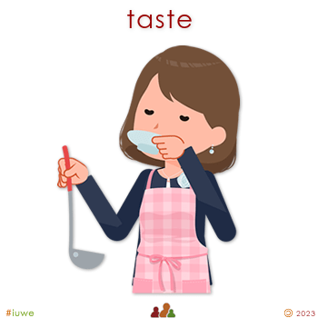 z32508_01 taste