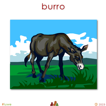 w31621_01 burro