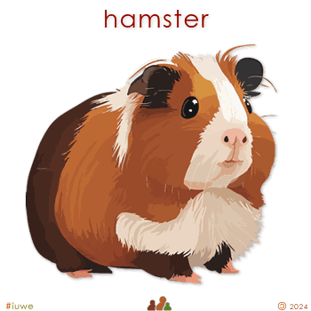 w33975_01 hamster