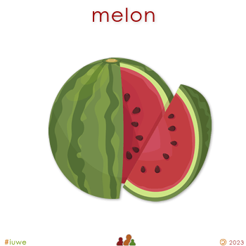 z32080_01 melon