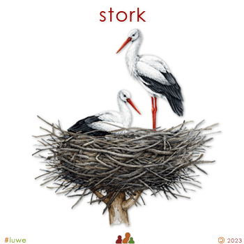 z32470_01 stork