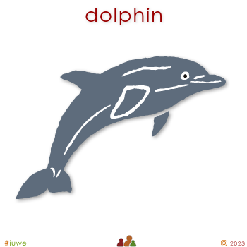 w00306_01 dolphin