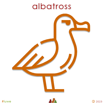 w02386_01 albatross