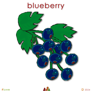 w01083_01 blueberry