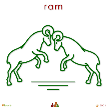 w05045_01 ram