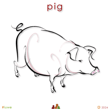 w00238_02 pig