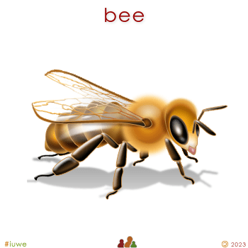 w00471_01 bee