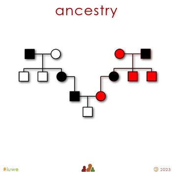 w03893_01 ancestry