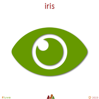 w01518_01 iris