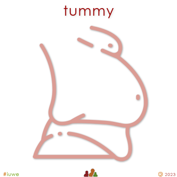 z32574_01 tummy