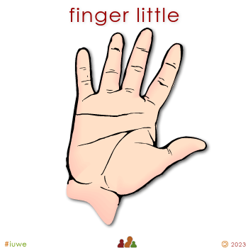 w01525_01 finger little